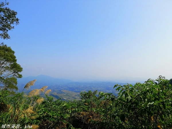 【苗栗大湖】悠閒感受山林的愜意。 No36小百岳~出關古道：