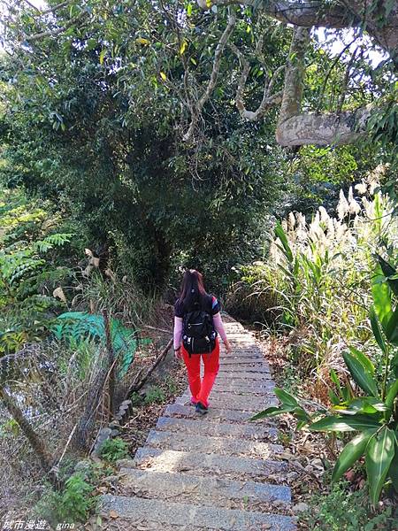 IMG_20210228_145730.jpg IMG_20210228_145730.jpg