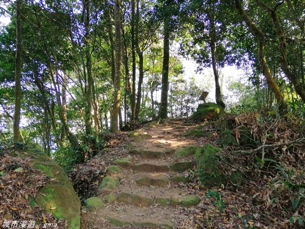 IMG_20210228_150403.jpg IMG_20210228_150403.jpg