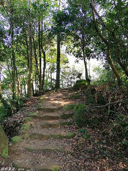 IMG_20210228_150400.jpg IMG_20210228_150400.jpg