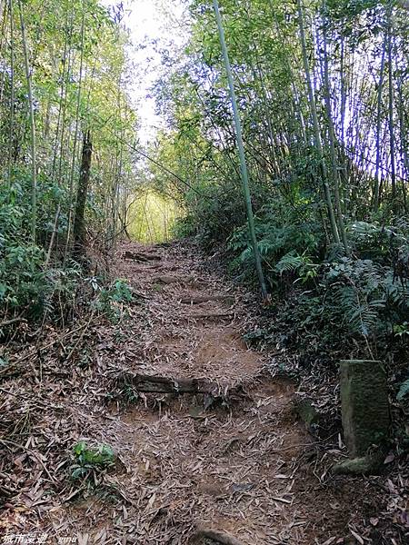 IMG_20210228_150944.jpg IMG_20210228_150944.jpg