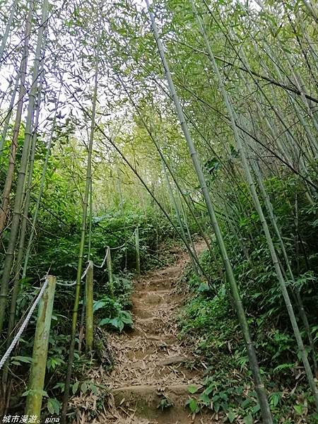 IMG_20210228_152011.jpg IMG_20210228_152011.jpg