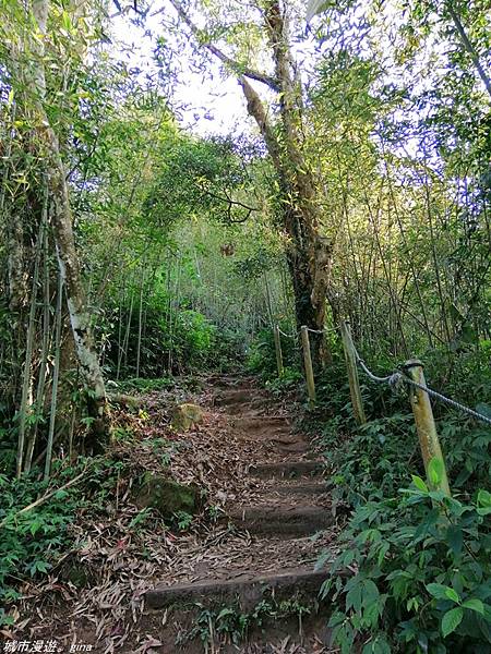 IMG_20210228_151414.jpg IMG_20210228_151414.jpg