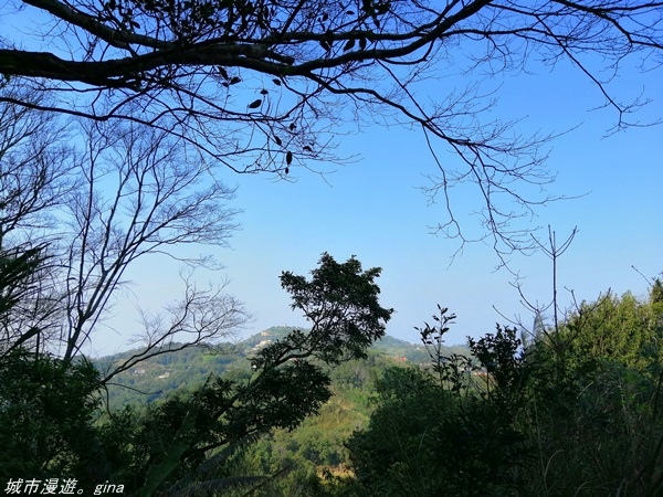 IMG_20210228_152633.jpg IMG_20210228_152633.jpg