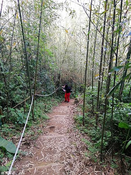 IMG_20210228_152310.jpg IMG_20210228_152310.jpg