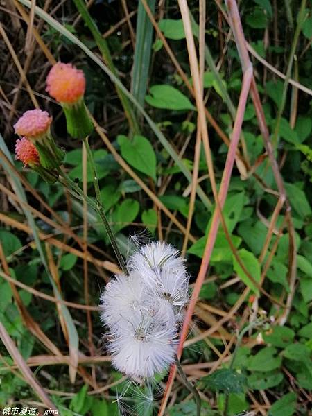 IMG_20210228_153649.jpg IMG_20210228_153649.jpg