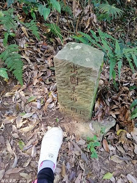 IMG_20210228_153810.jpg IMG_20210228_153810.jpg