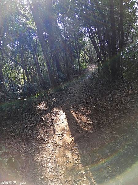 IMG_20210228_153826.jpg IMG_20210228_153826.jpg