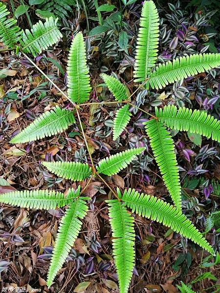 IMG_20210228_154853.jpg IMG_20210228_154853.jpg