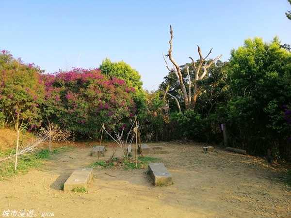 IMG_20210228_163601.jpg IMG_20210228_163601.jpg