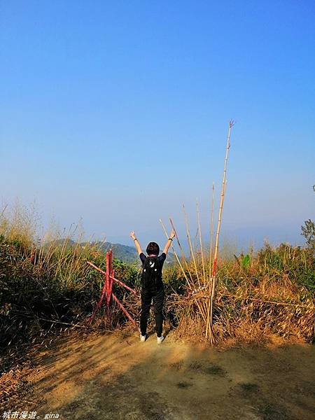 IMG_20210228_163709.jpg IMG_20210228_163709.jpg