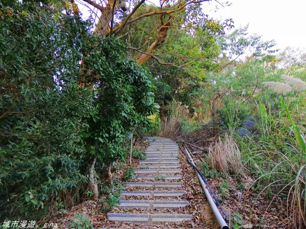 【苗栗大湖】悠閒感受山林的愜意。 No36小百岳~出關古道：