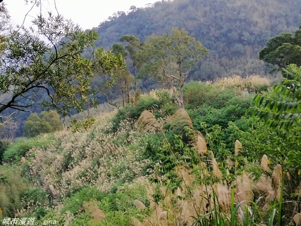 IMG_20210228_173727.jpg IMG_20210228_173727.jpg