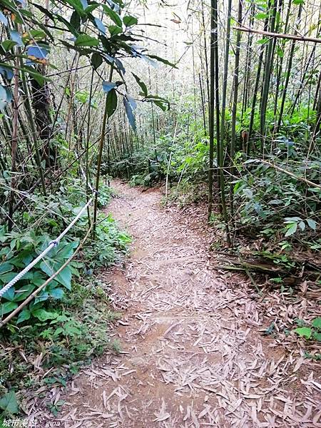 IMG_20210228_170635.jpg IMG_20210228_170635.jpg