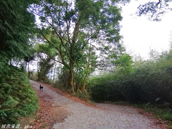 IMG_20210228_175501.jpg IMG_20210228_175501.jpg