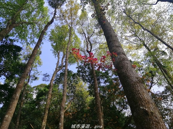 IMG_20210301_102106.jpg IMG_20210301_102106.jpg