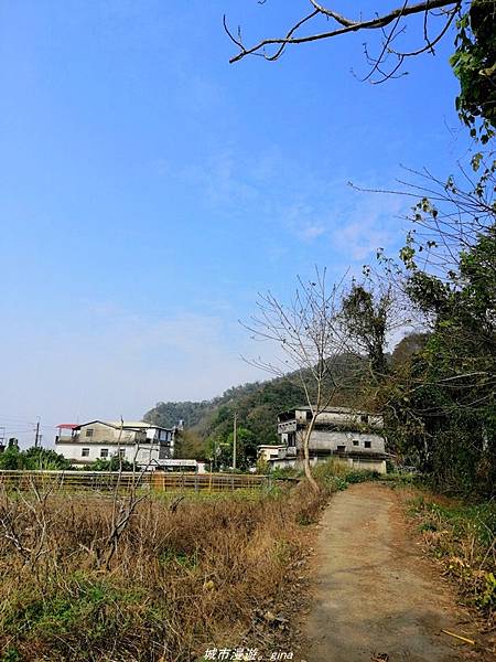 IMG_20210301_102418.jpg IMG_20210301_102418.jpg