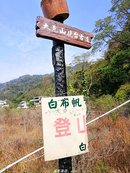 【苗栗卓蘭】山林裡賞優美樹姿。大克山砲台古道