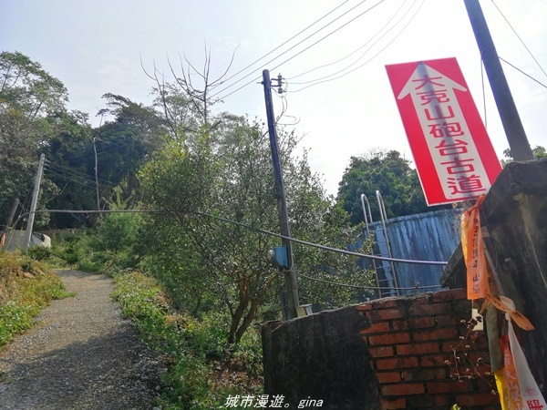 IMG_20210301_103153.jpg IMG_20210301_103153.jpg