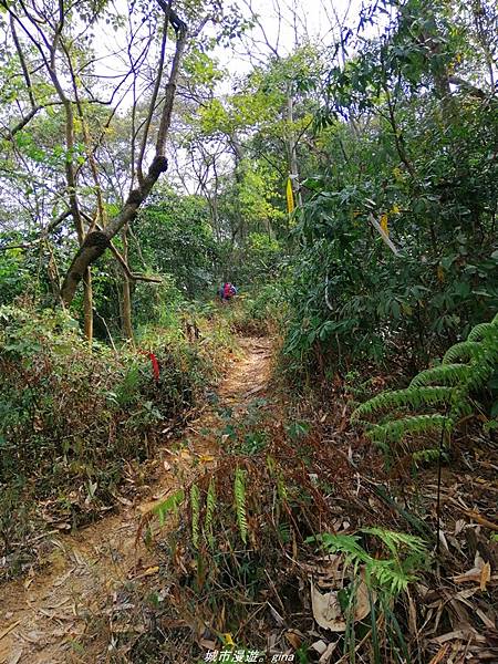 IMG_20210301_104750.jpg IMG_20210301_104750.jpg