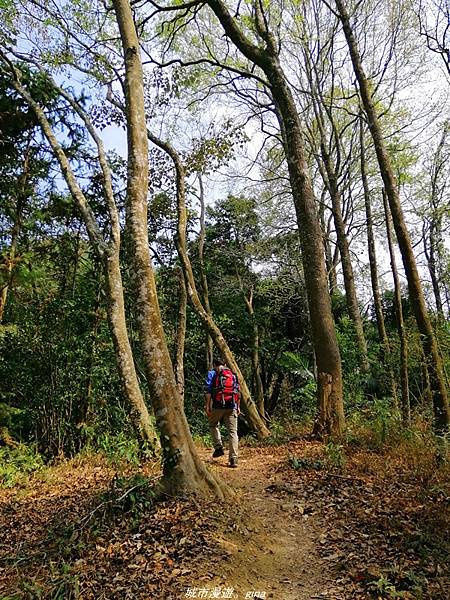 IMG_20210301_105226.jpg IMG_20210301_105226.jpg