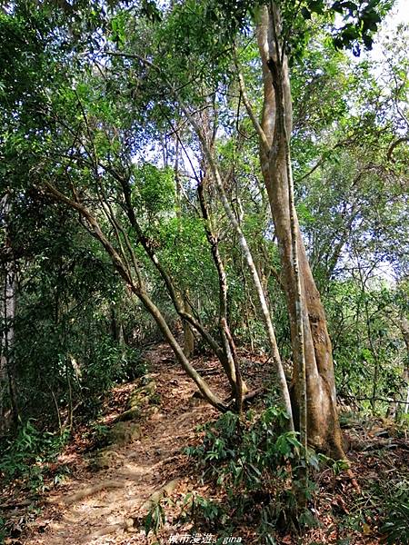 IMG_20210301_105321.jpg IMG_20210301_105321.jpg