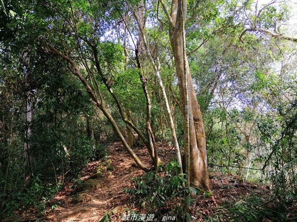 IMG_20210301_105324.jpg IMG_20210301_105324.jpg