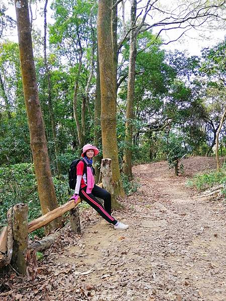 IMG_20210301_105151.jpg IMG_20210301_105151.jpg