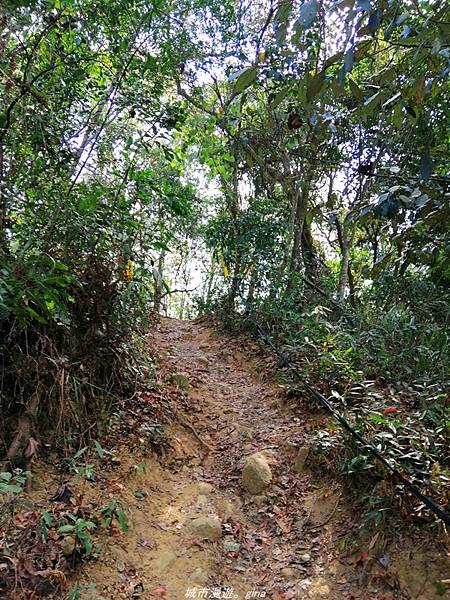 IMG_20210301_104922.jpg IMG_20210301_104922.jpg