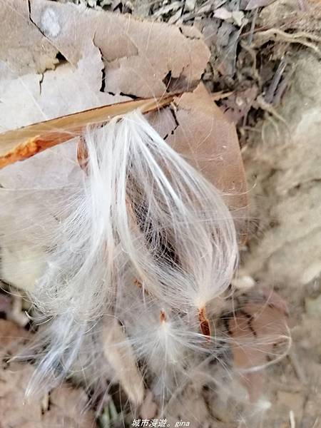 IMG_20210301_105435.jpg IMG_20210301_105435.jpg