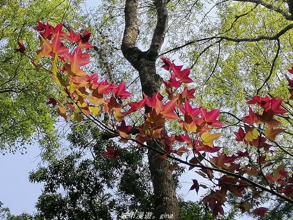 IMG_20210301_111524.jpg IMG_20210301_111524.jpg