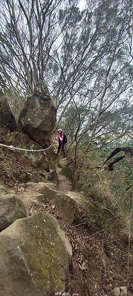 IMG_20210301_113608.jpg IMG_20210301_113608.jpg