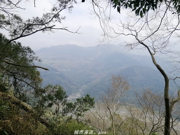 IMG_20210301_114107.jpg IMG_20210301_114107.jpg