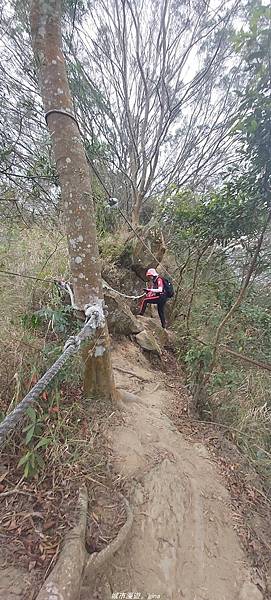 IMG_20210301_113609.jpg IMG_20210301_113609.jpg