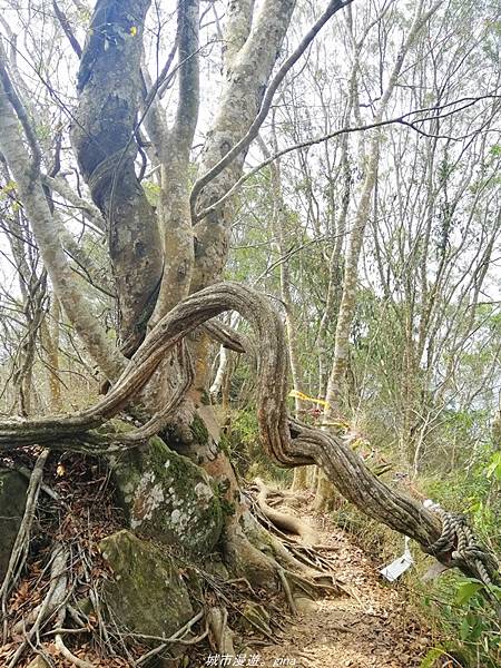 IMG_20210301_113735.jpg IMG_20210301_113735.jpg