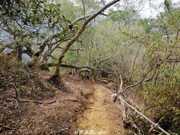 IMG_20210301_114556.jpg IMG_20210301_114556.jpg