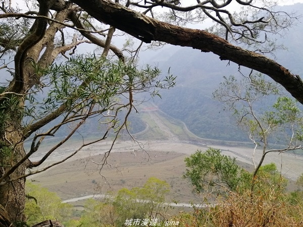 IMG_20210301_114934.jpg IMG_20210301_114934.jpg