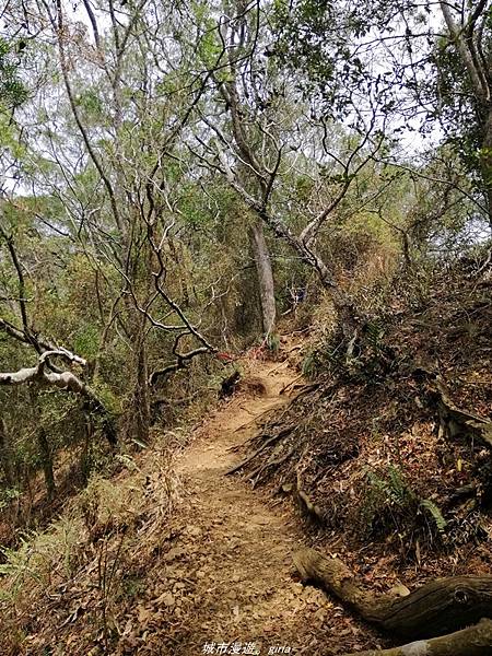 IMG_20210301_114729.jpg IMG_20210301_114729.jpg