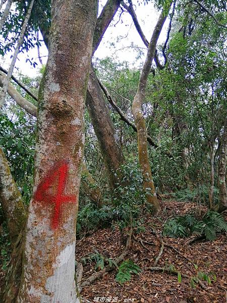 IMG_20210301_121009.jpg IMG_20210301_121009.jpg