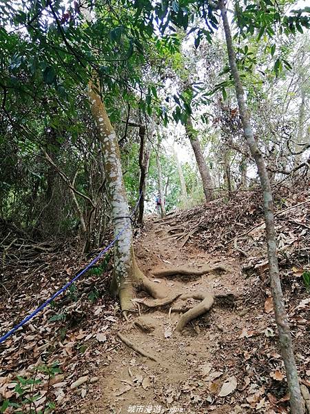 IMG_20210301_120522.jpg IMG_20210301_120522.jpg