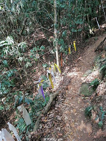 IMG_20210301_124725.jpg IMG_20210301_124725.jpg