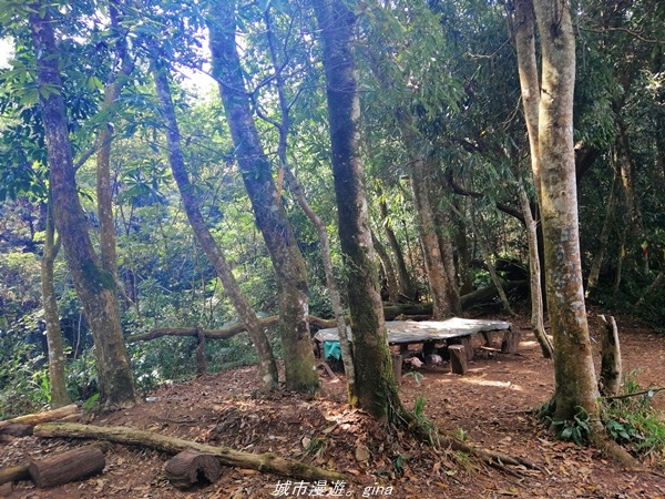 IMG_20210301_125547.jpg IMG_20210301_125547.jpg