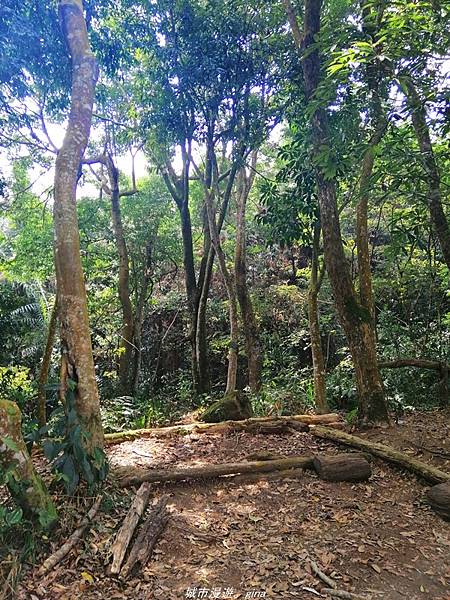 IMG_20210301_125550.jpg IMG_20210301_125550.jpg