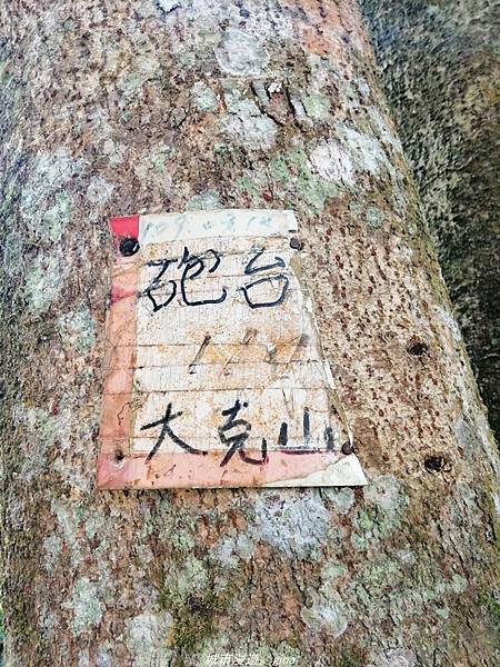 IMG_20210301_125638.jpg IMG_20210301_125638.jpg