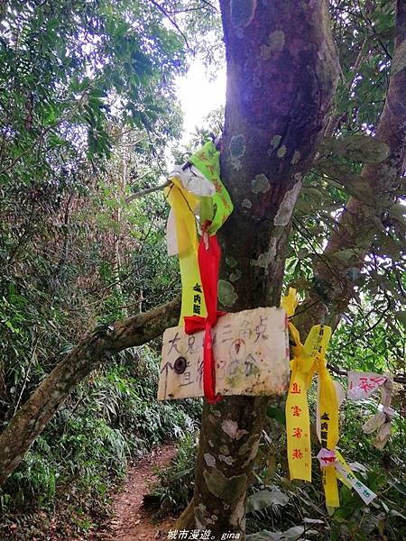 IMG_20210301_134334.jpg IMG_20210301_134334.jpg