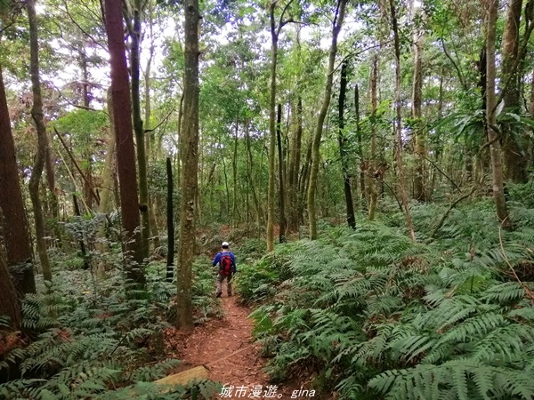 IMG_20210301_134820.jpg IMG_20210301_134820.jpg