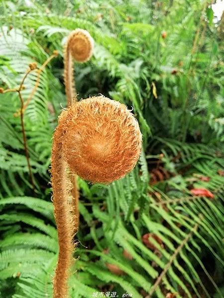 IMG_20210301_140242.jpg IMG_20210301_140242.jpg