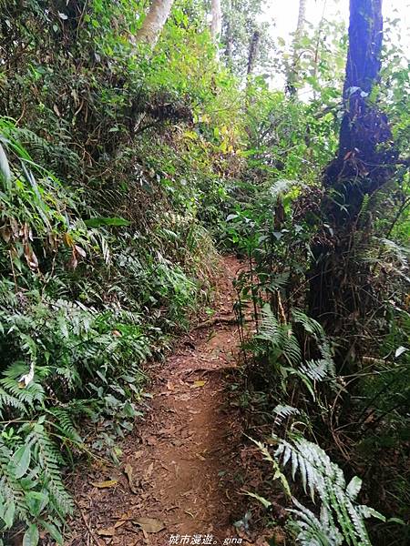 IMG_20210301_134347.jpg IMG_20210301_134347.jpg