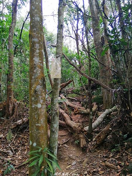 IMG_20210301_135739.jpg IMG_20210301_135739.jpg