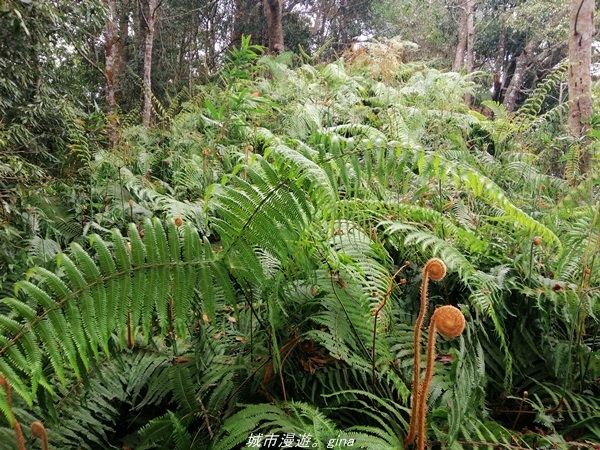 IMG_20210301_140254.jpg IMG_20210301_140254.jpg